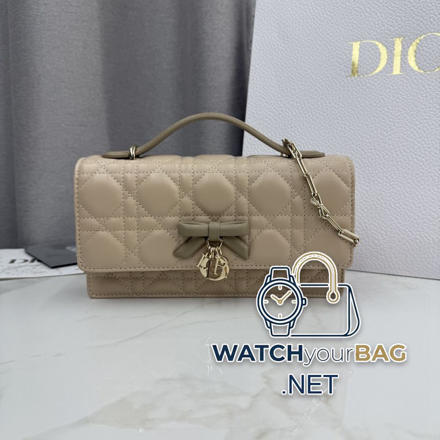 S0984 Dior Handbag