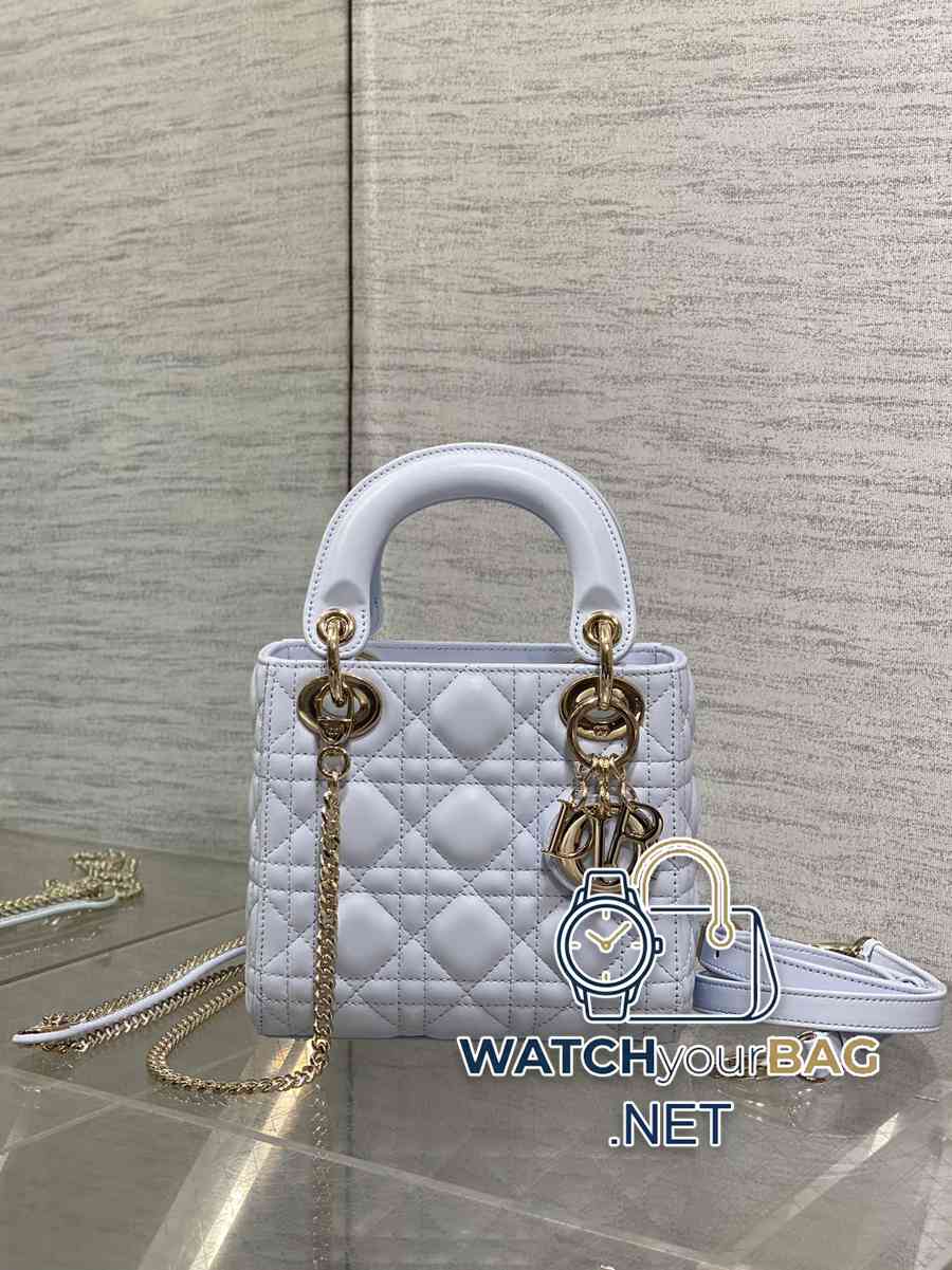 WHEN Dior Lady Dior Handbag