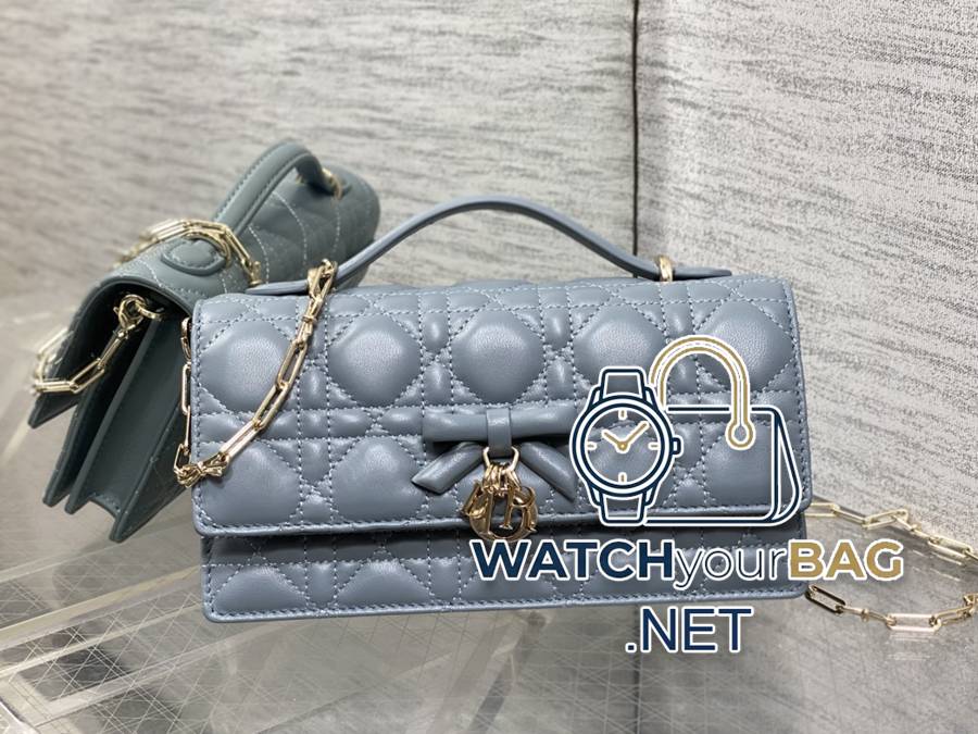 INED Dior Clutch