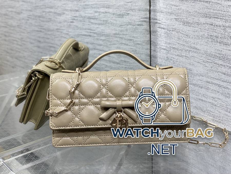 INED Dior Clutch