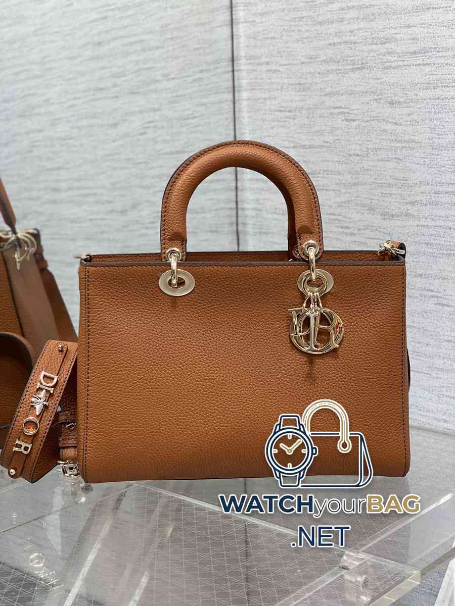 S Dior Lady Dior Handbag
