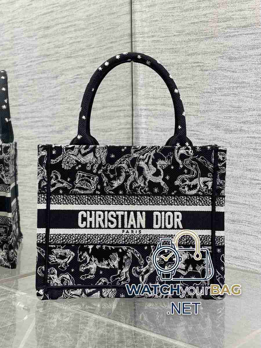 S Dior Book Tote Tote