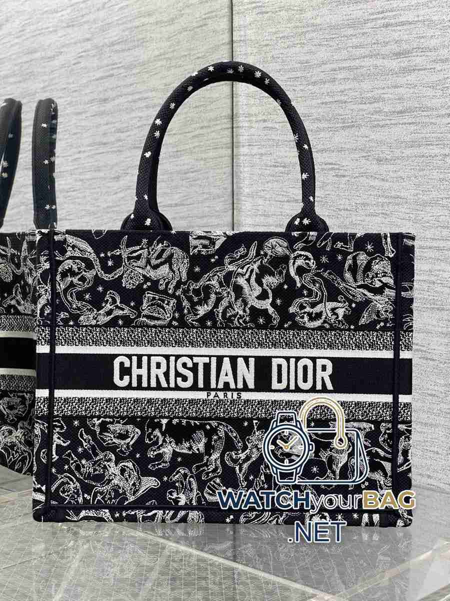 S Dior Book Tote Tote