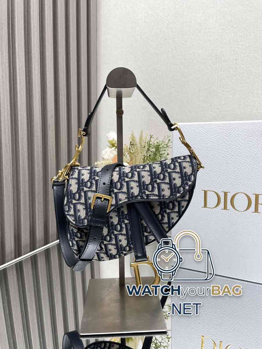 S Dior Saddle Handbag