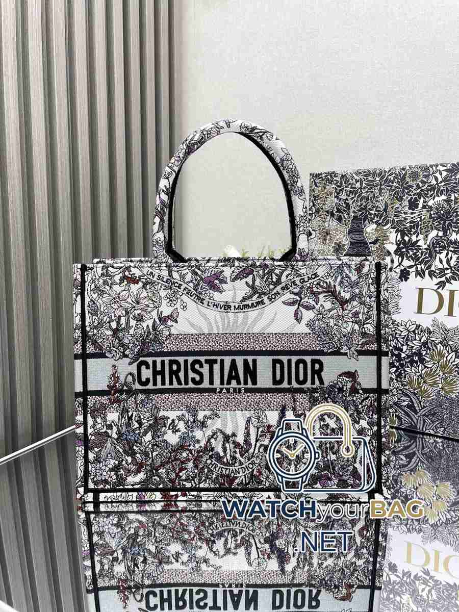 WINTER Dior Shopping Bag