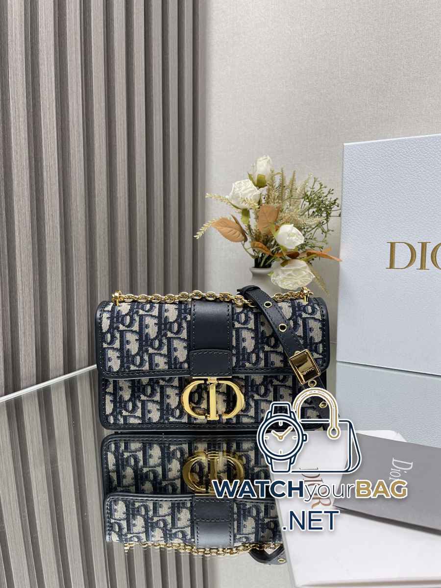 W Dior Handbag
