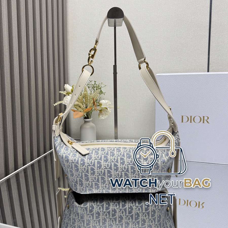 TS Dior Handbag