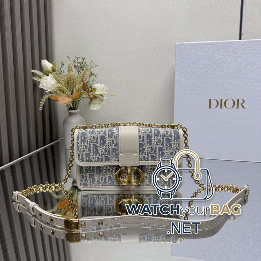 9207 Dior Handbag