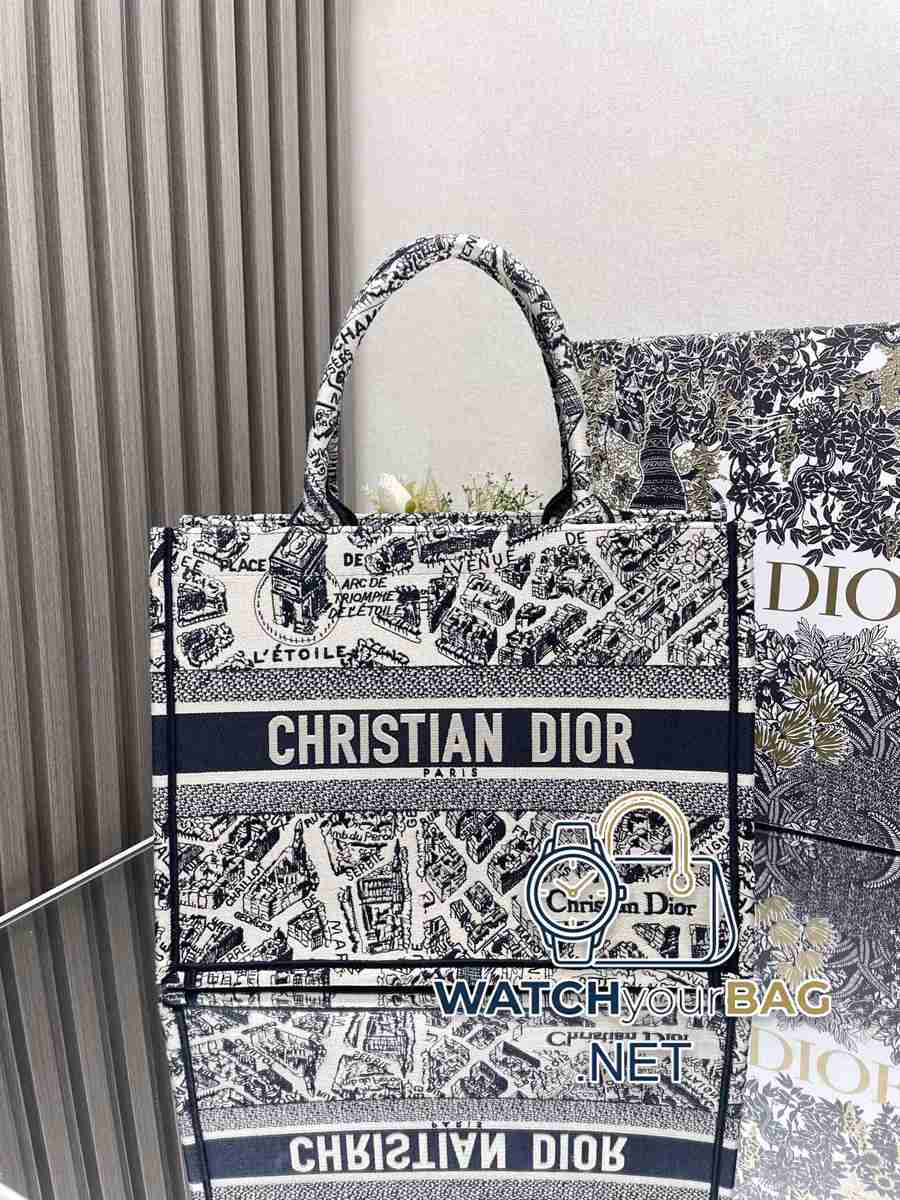 THAT Dior Shopping Bag