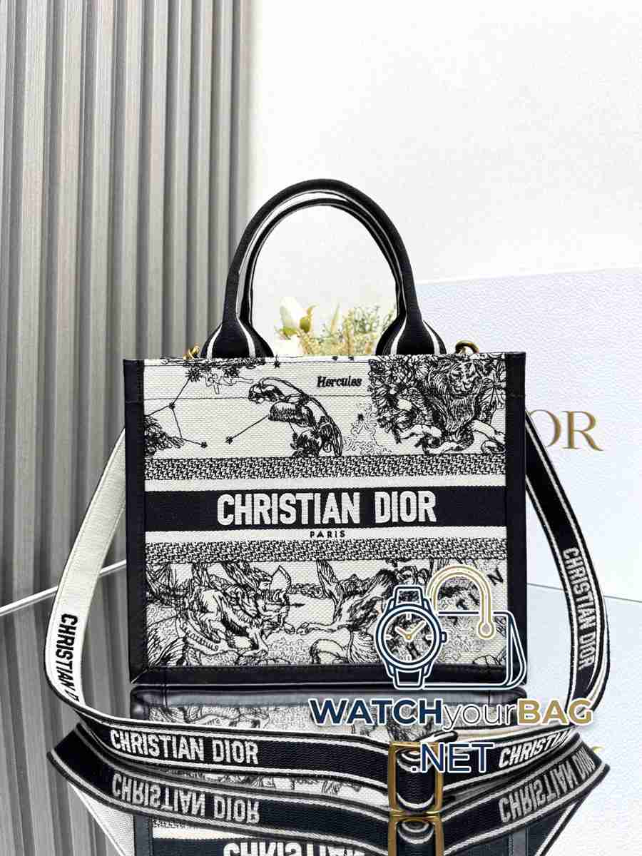 EXQUISITE Dior Book Tote Tote