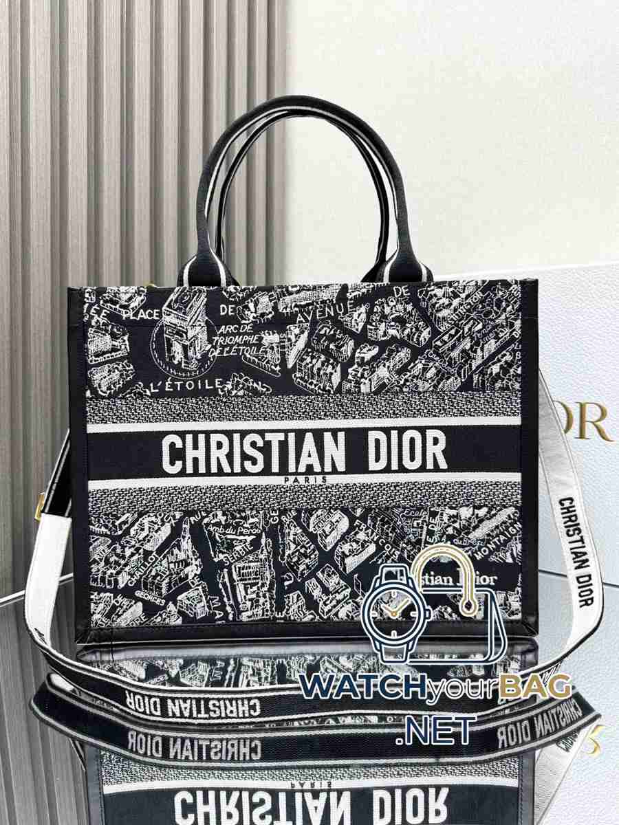 LECTS Dior Book Tote Shopping Bag