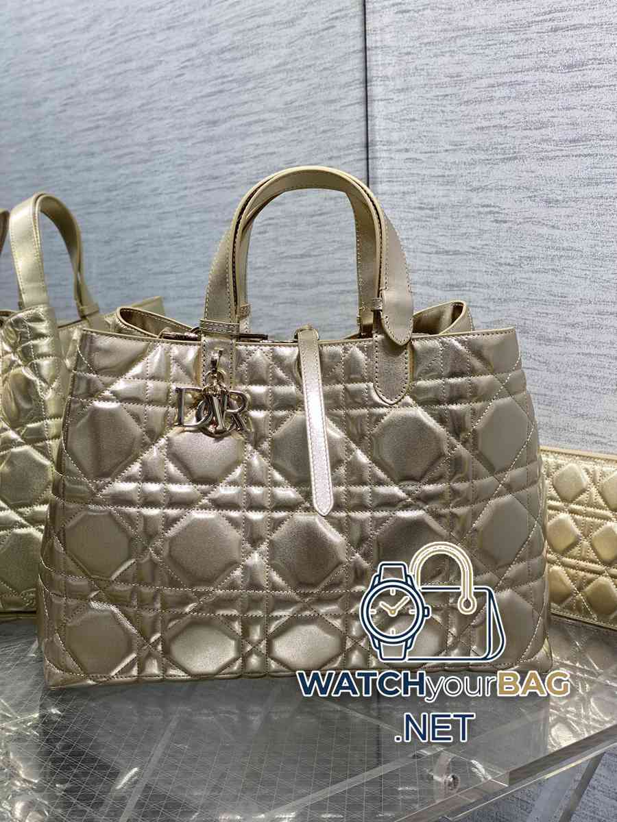 S Dior Toujours Handbag