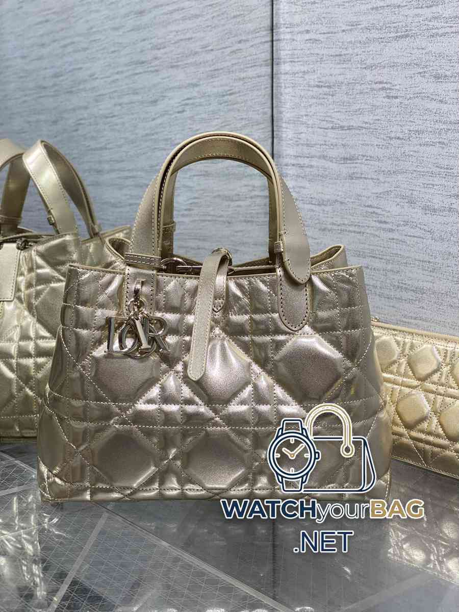 S Dior Toujours Handbag