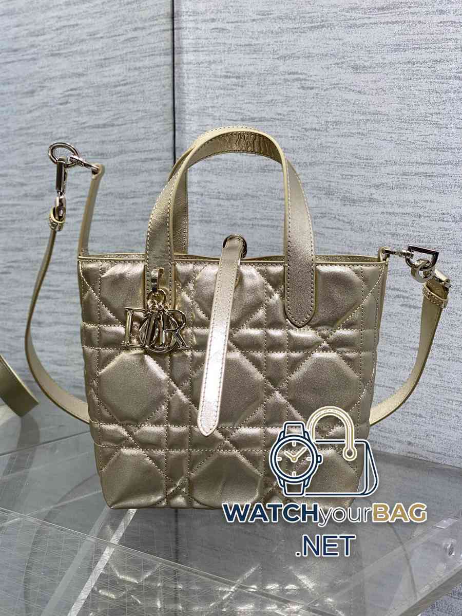 S Dior Toujours Handbag