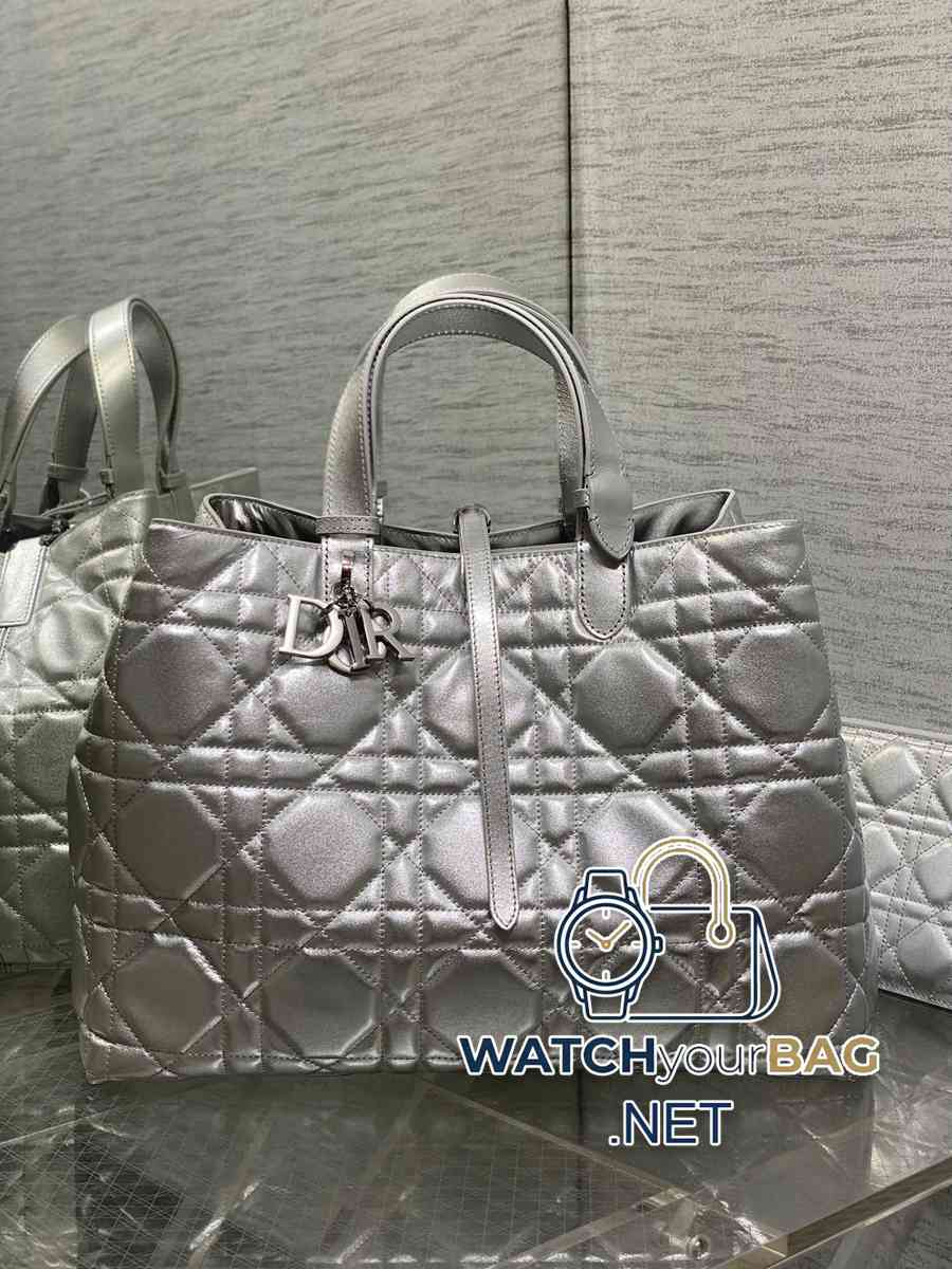 S Dior Toujours Handbag