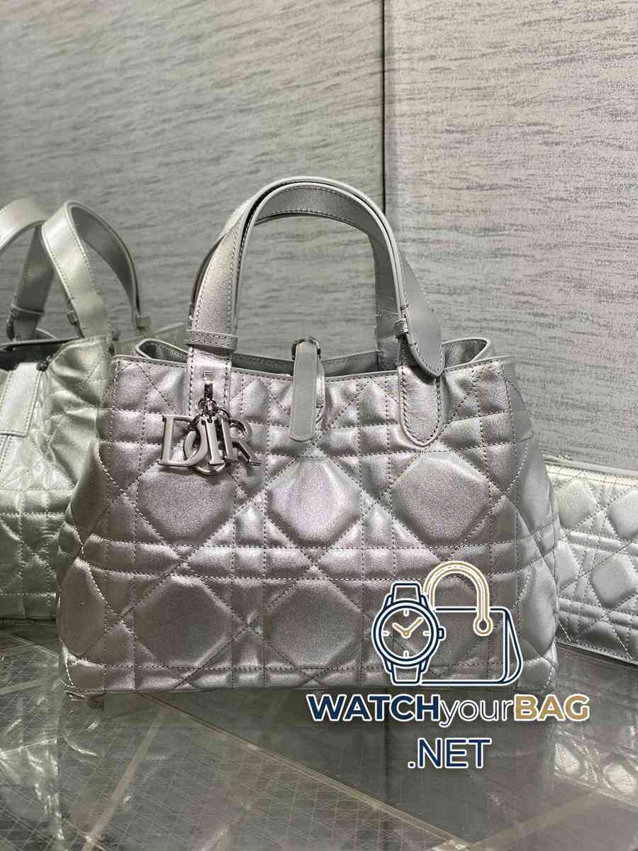 S Dior Toujours Handbag