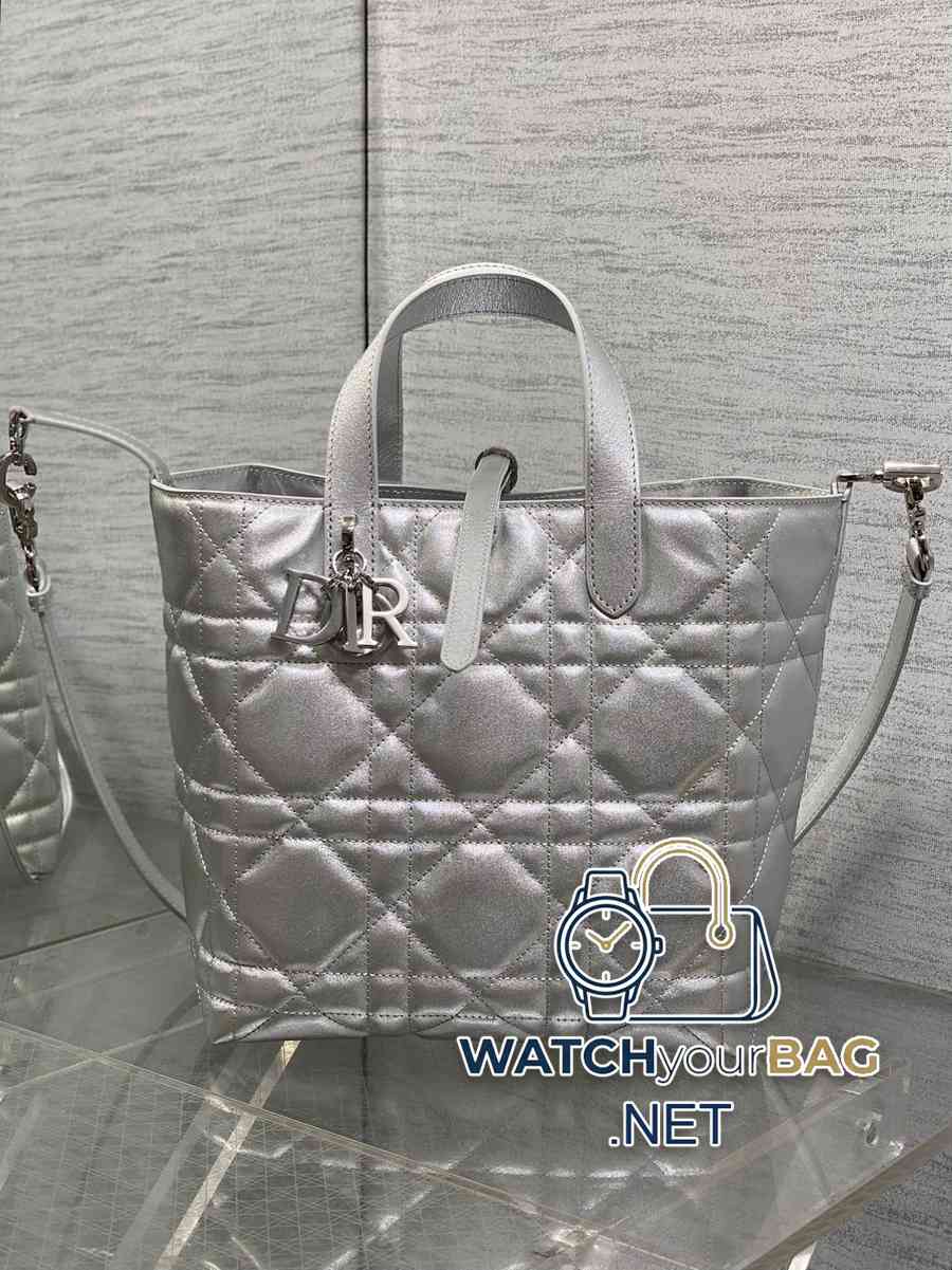 S Dior Toujours Handbag