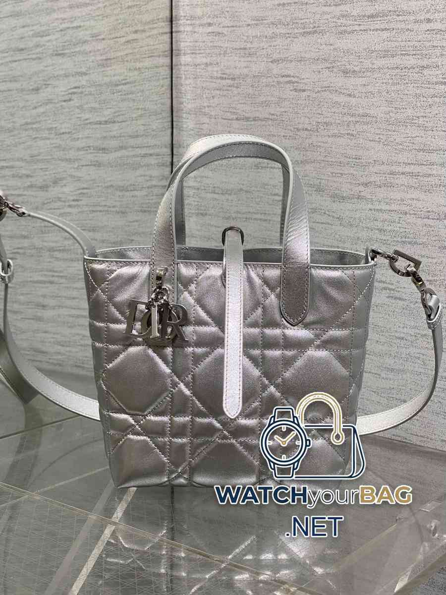 S Dior Toujours Handbag