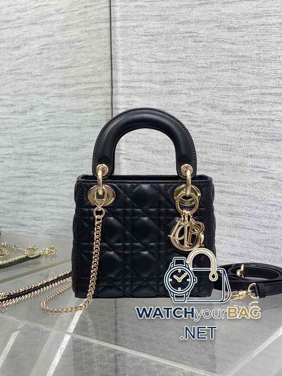 WHEN Dior Lady Dior Handbag