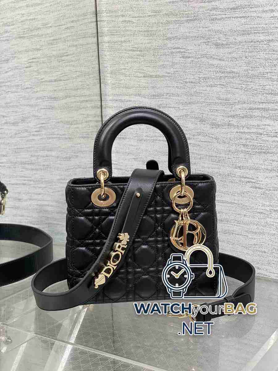 NEED Dior Lady Dior Handbag