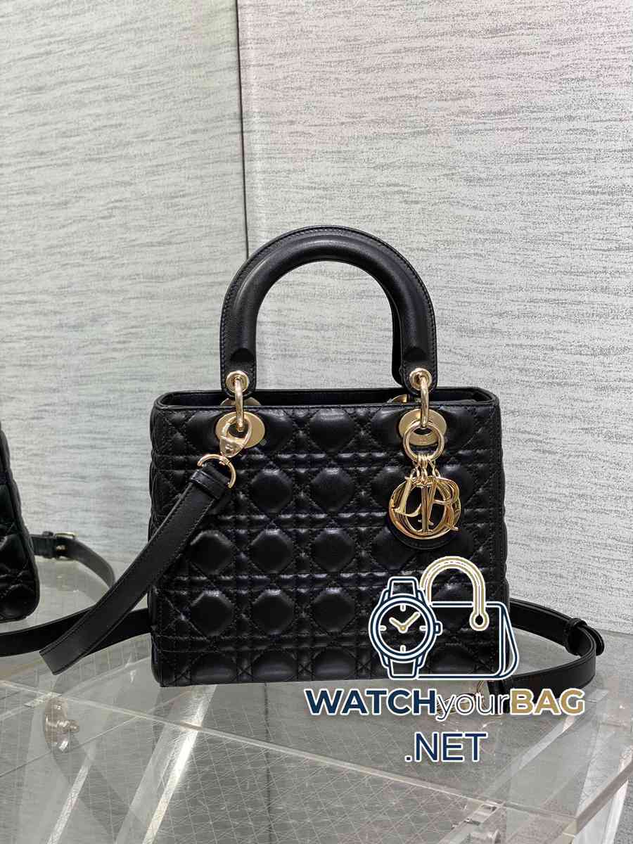 Dior Lady Dior Handbag