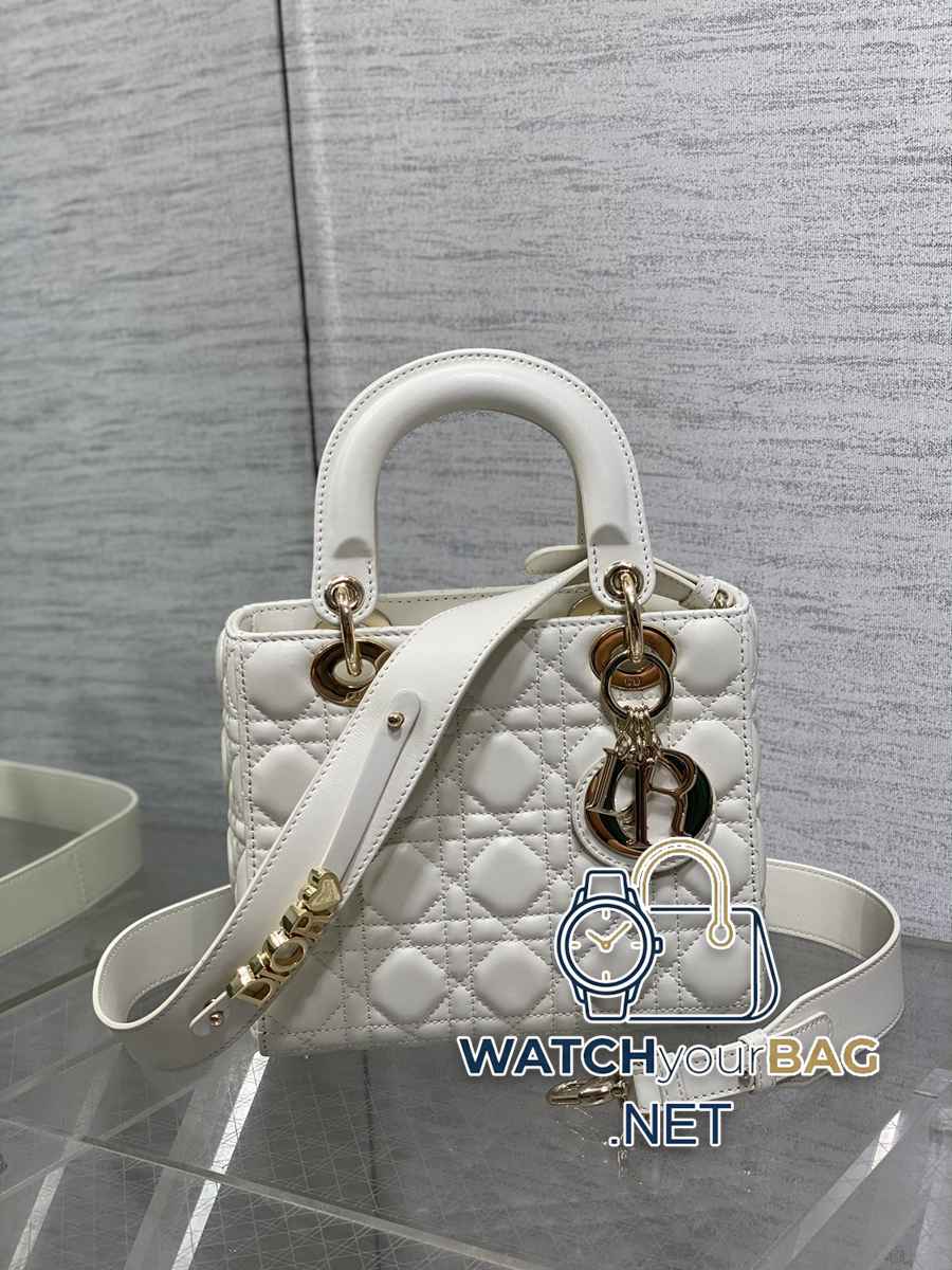NEED Dior Lady Dior Handbag