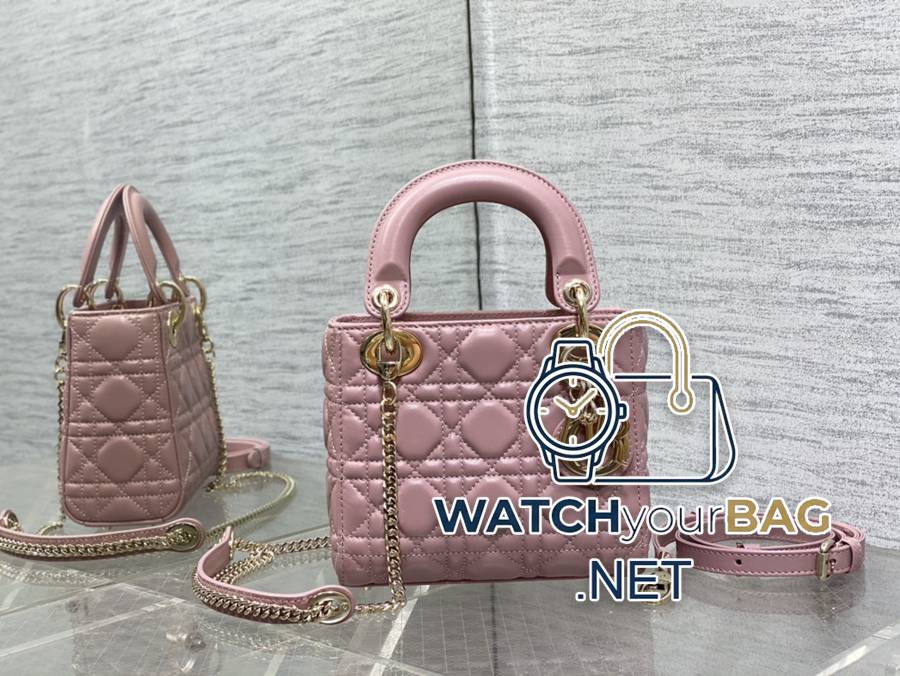 WHEN Dior Lady Dior Handbag