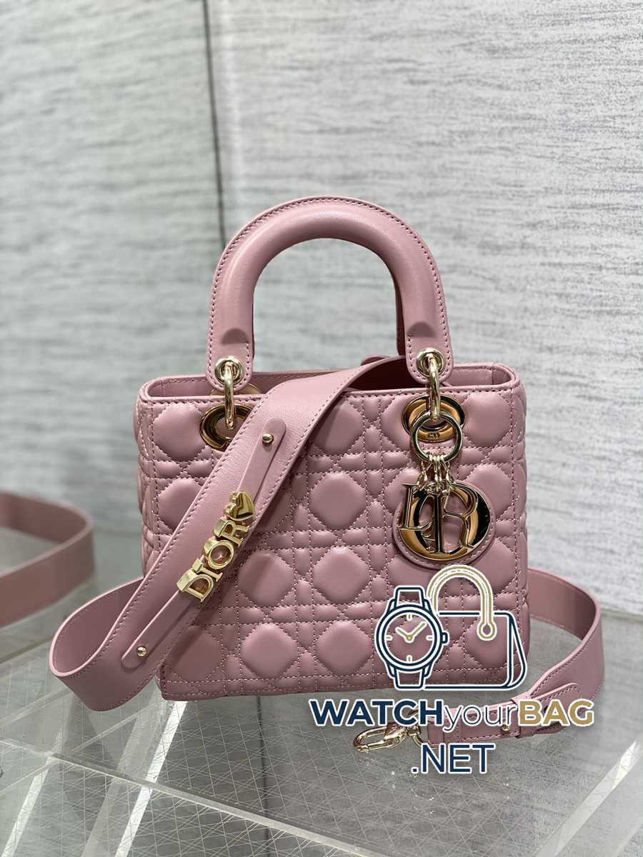 NEED Dior Lady Dior Handbag