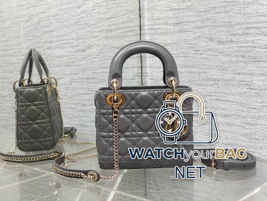 WHEN Dior Lady Dior Handbag