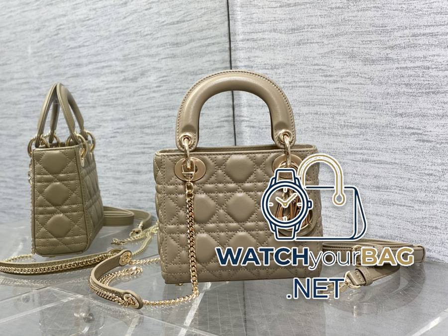 WHEN Dior Lady Dior Handbag