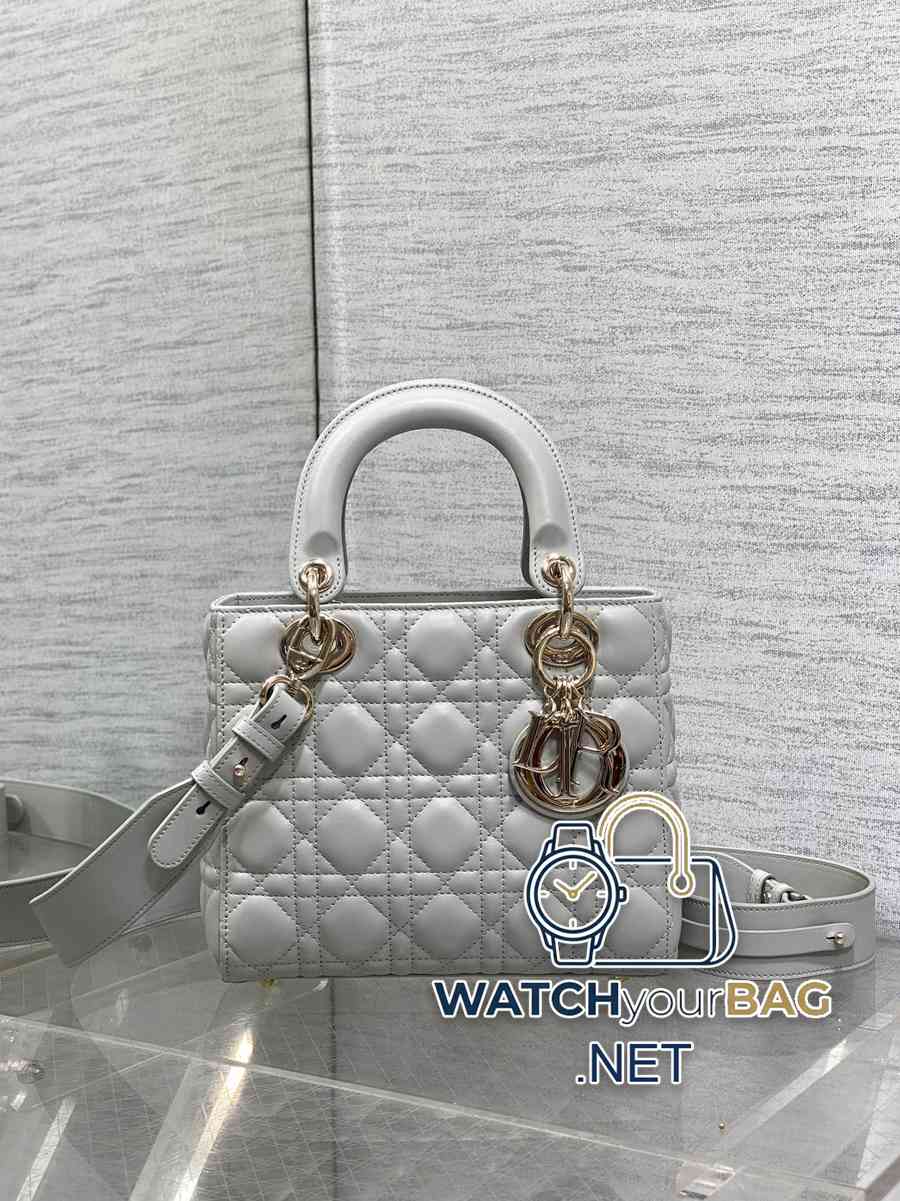 NEED Dior Lady Dior Handbag