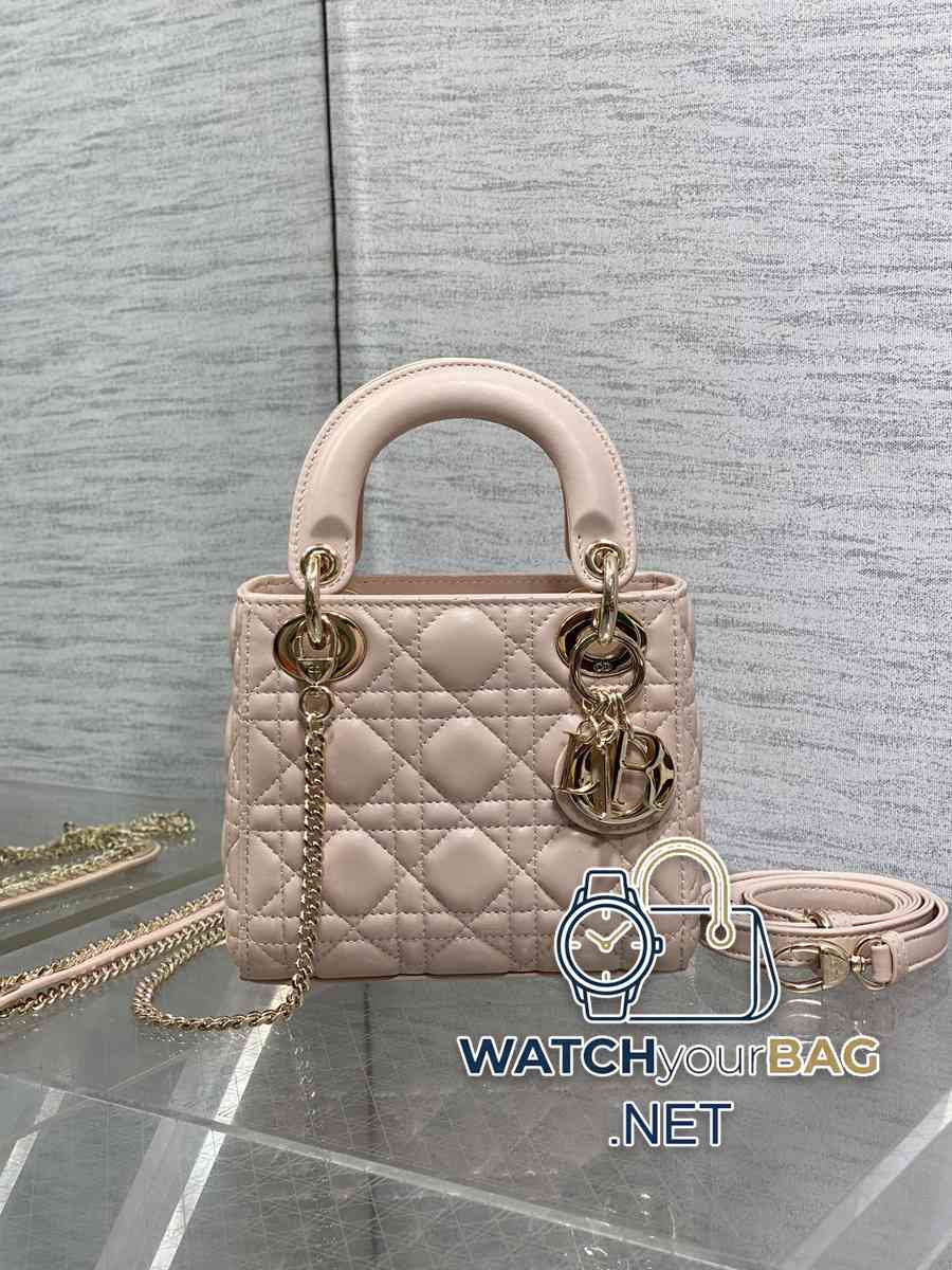 WHEN Dior Lady Dior Handbag