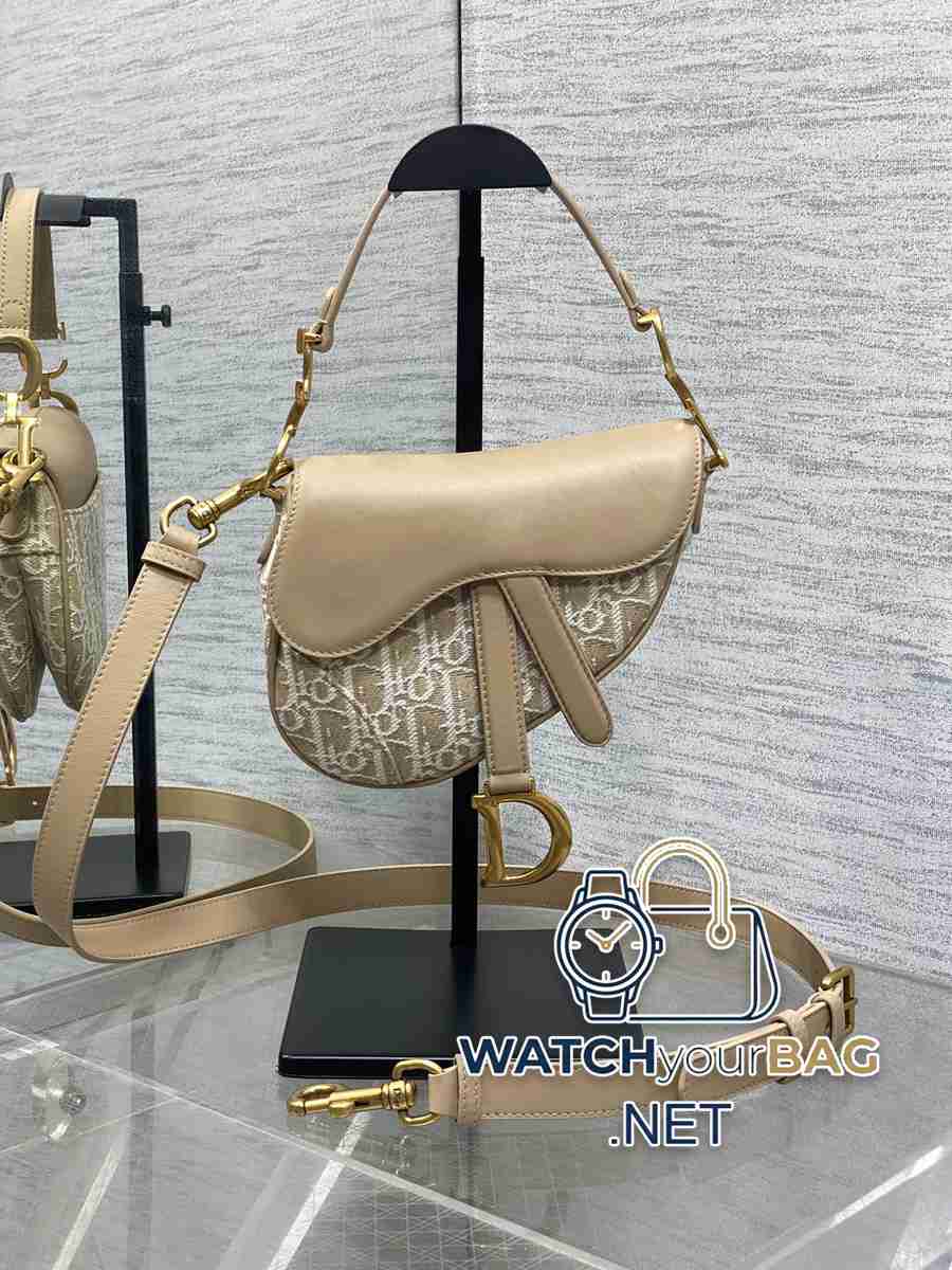 THE Dior Saddle Handbag