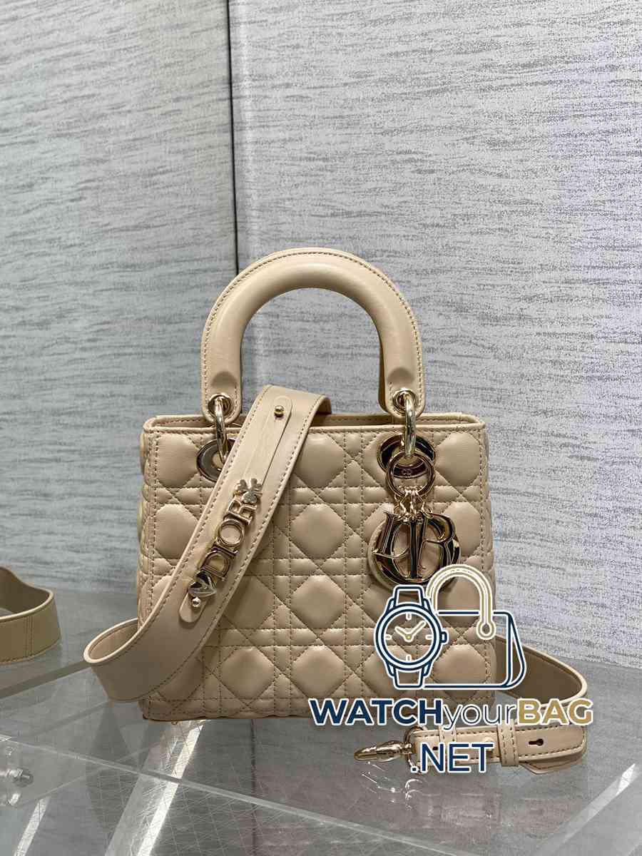 Dior Lady Dior Handbag