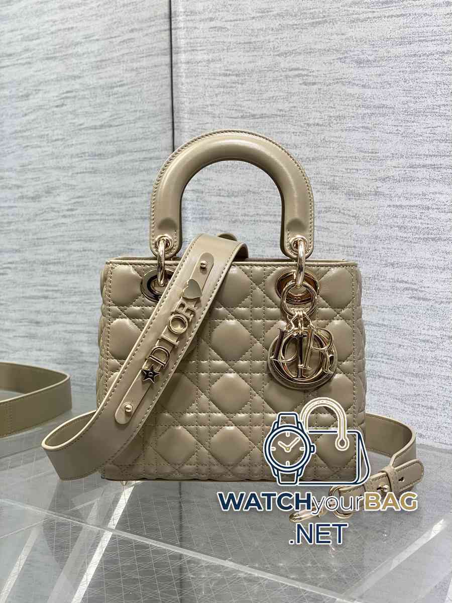 Dior Lady Dior Handbag
