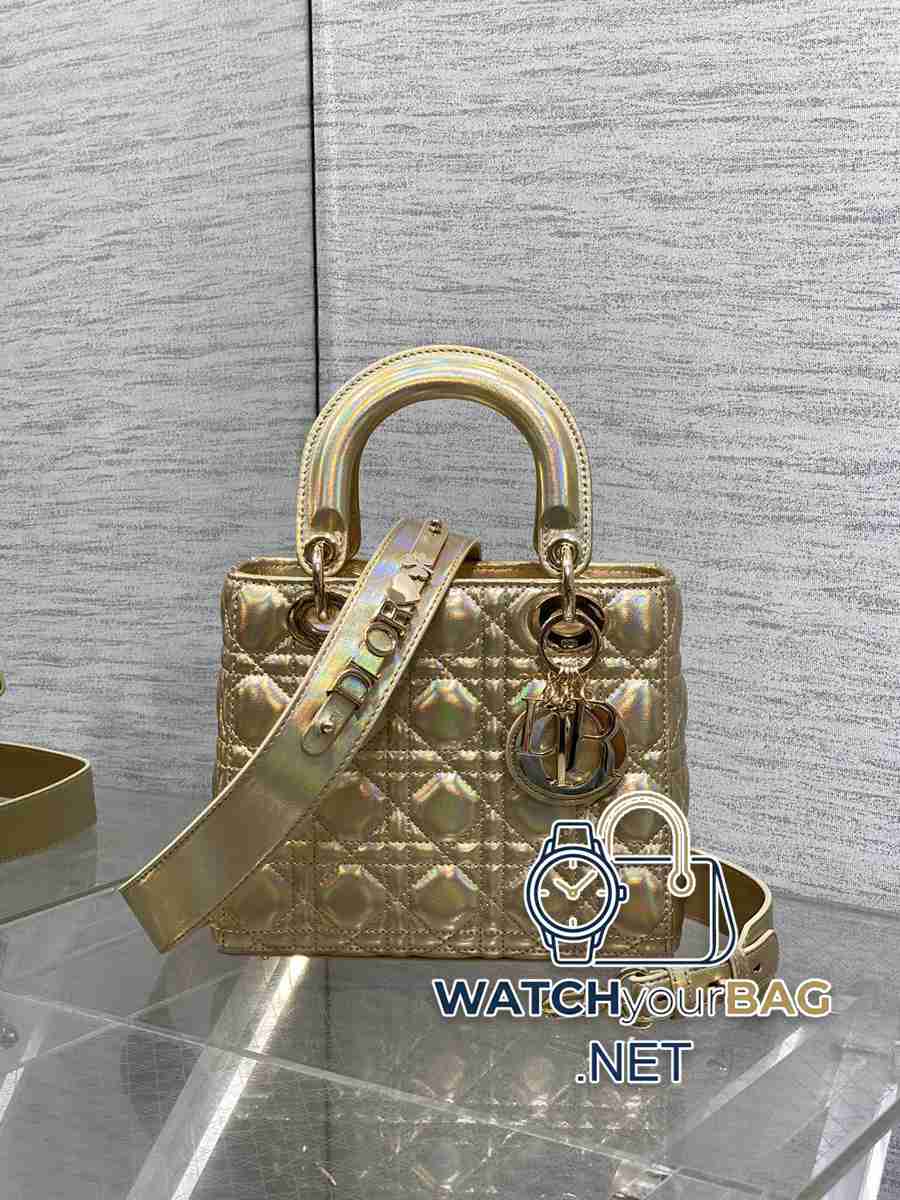 Dior Lady Dior Handbag