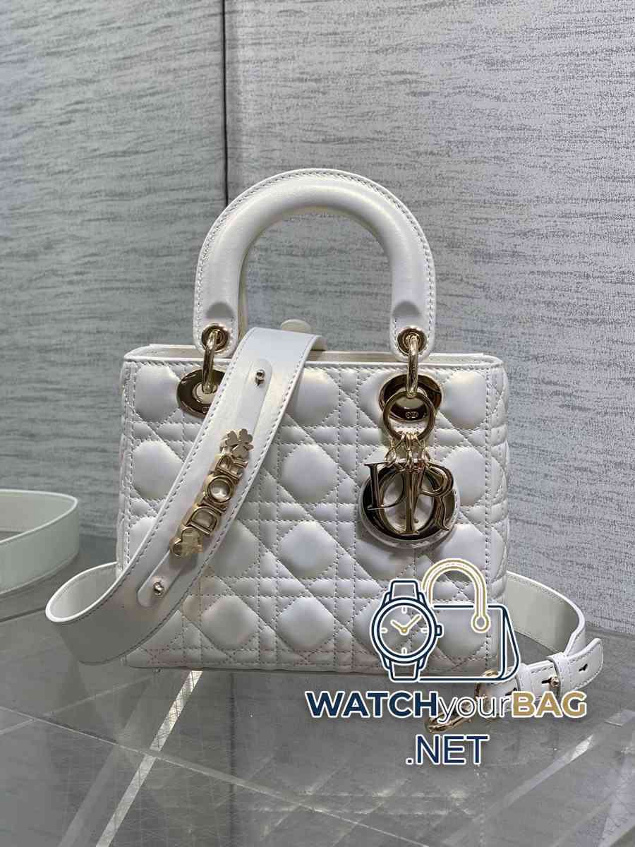 Dior Lady Dior Handbag