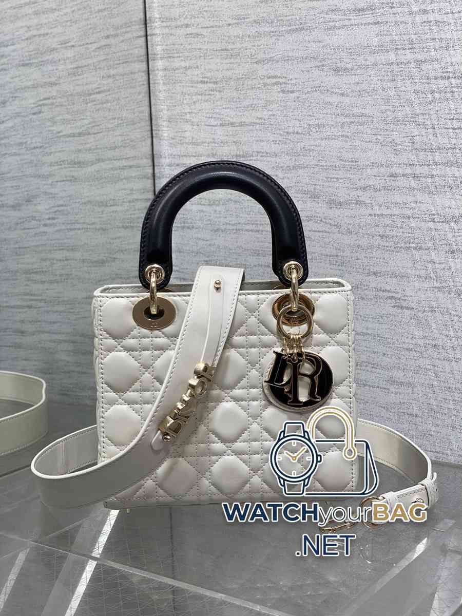 Dior Handbag