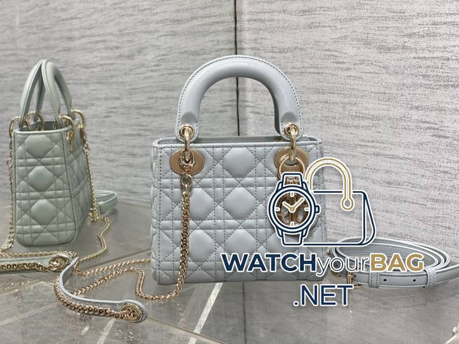 WHEN Dior Lady Dior Handbag