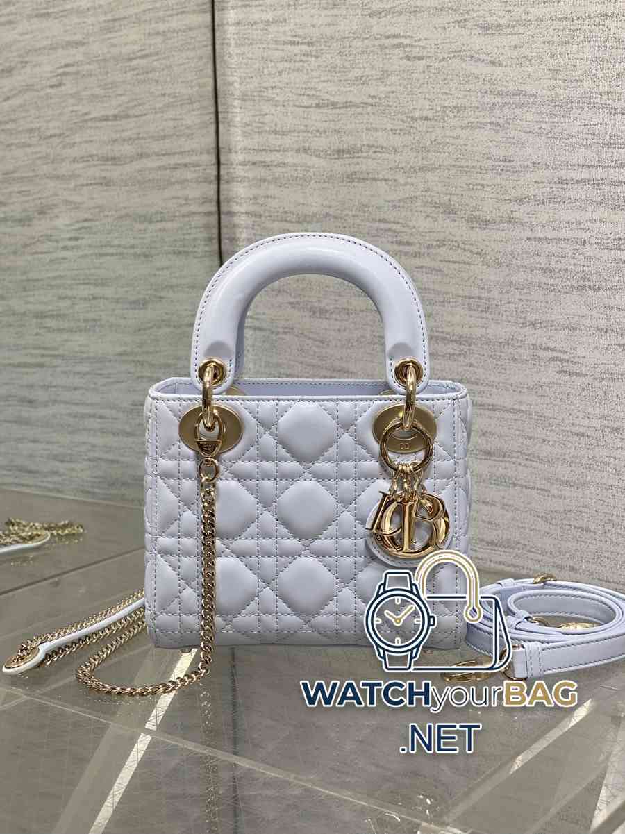 WHEN Dior Lady Dior Handbag