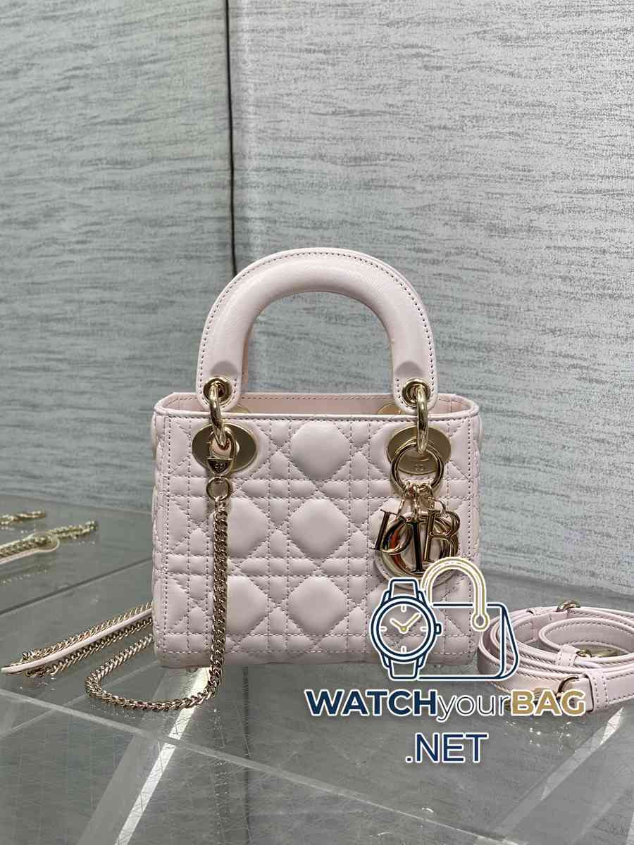 WHEN Dior Lady Dior Handbag