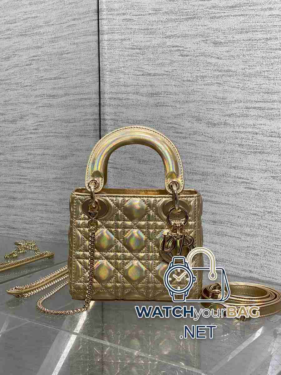 WHEN Dior Lady Dior Handbag