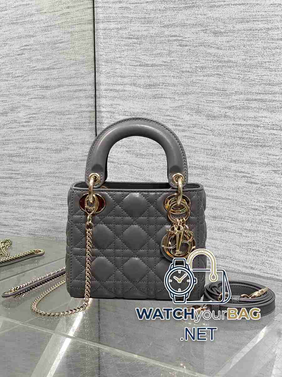 WHEN Dior Lady Dior Handbag