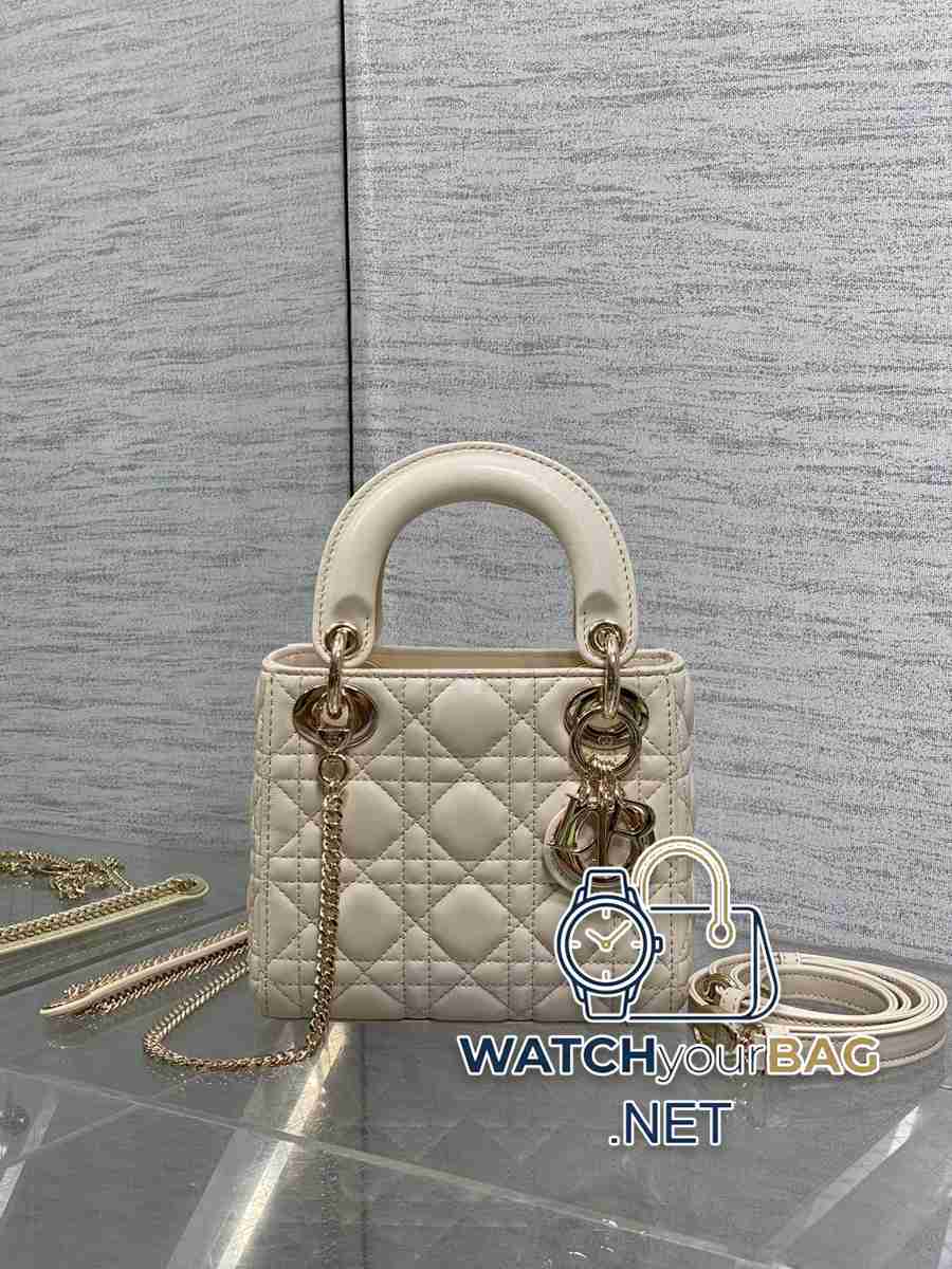 WHEN Dior Lady Dior Handbag