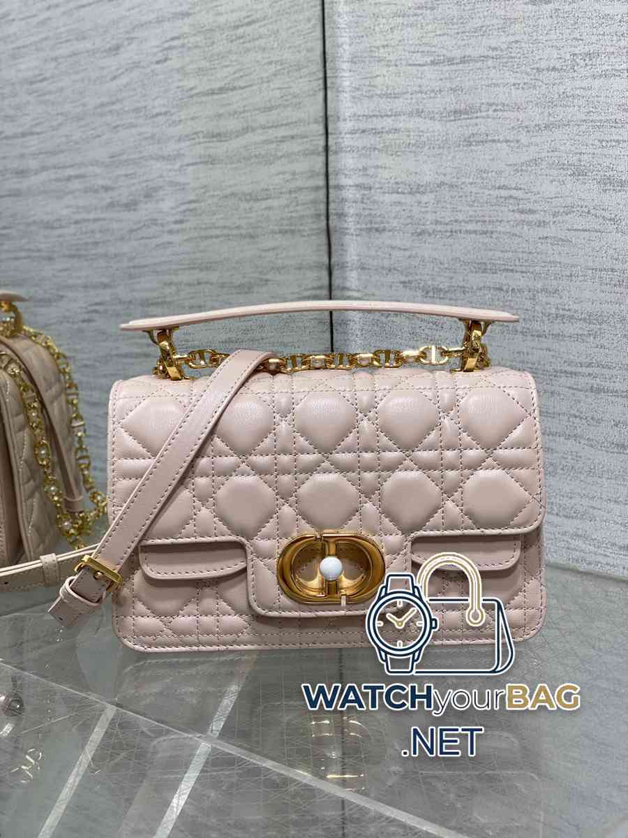 THER Dior Jolie Handbag