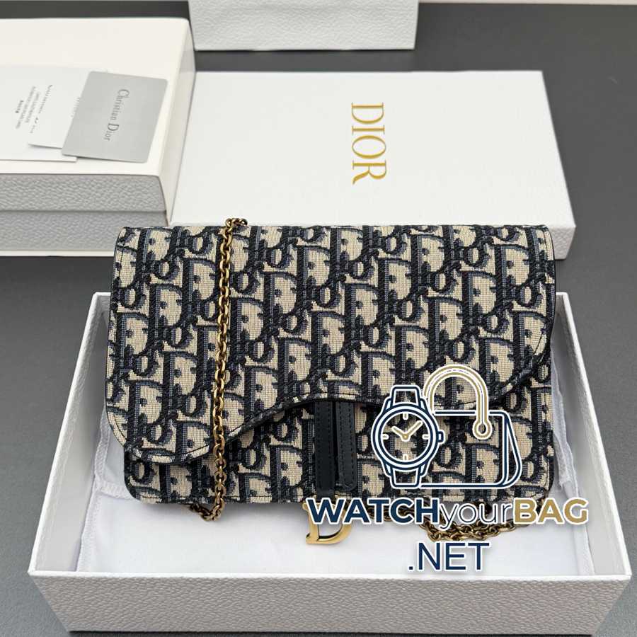 S5620 Dior Saddle Handbag