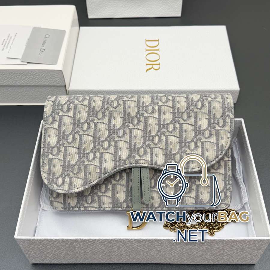 S5620 Dior Saddle Handbag