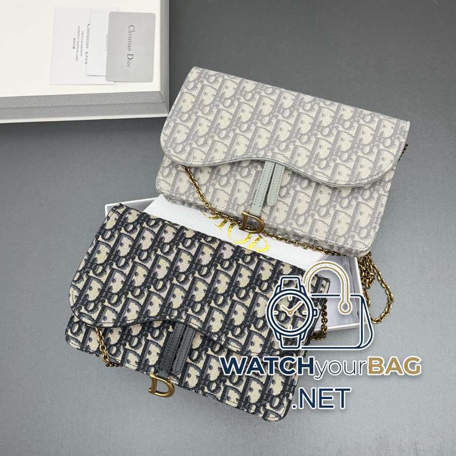 S5620 Dior Saddle Handbag