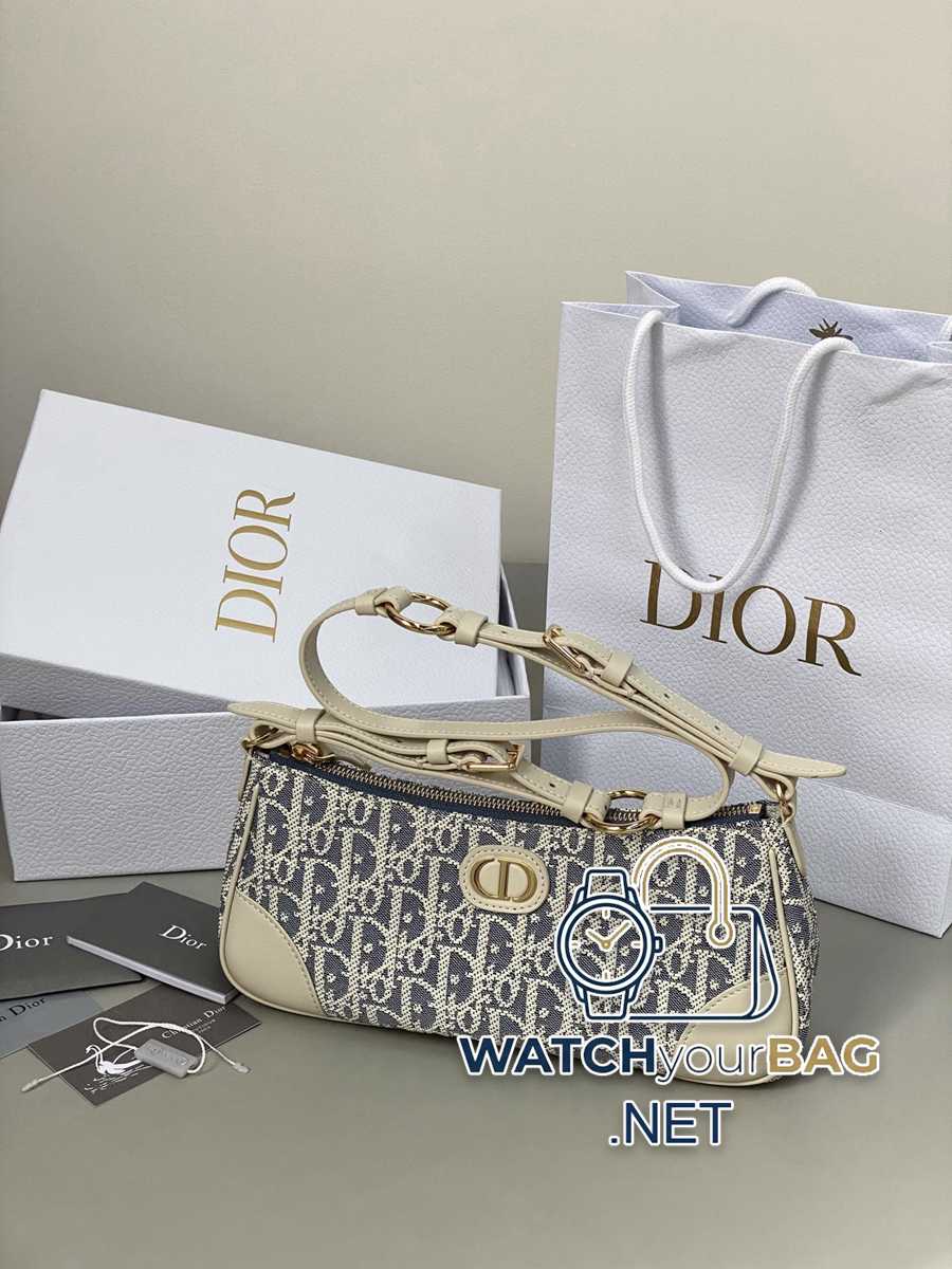 THER Dior Handbag