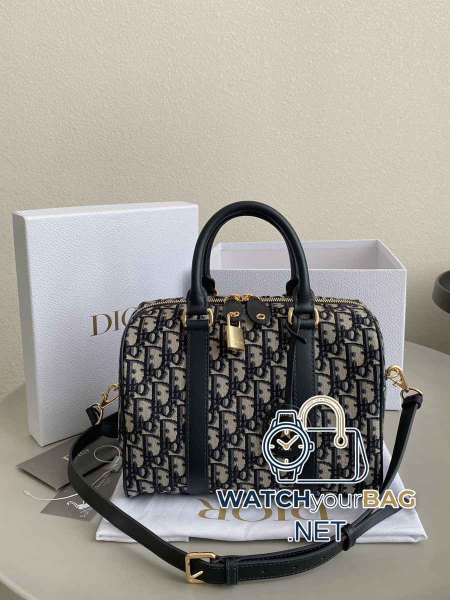W Dior Handbag